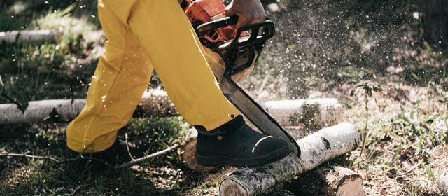 Лесозапись