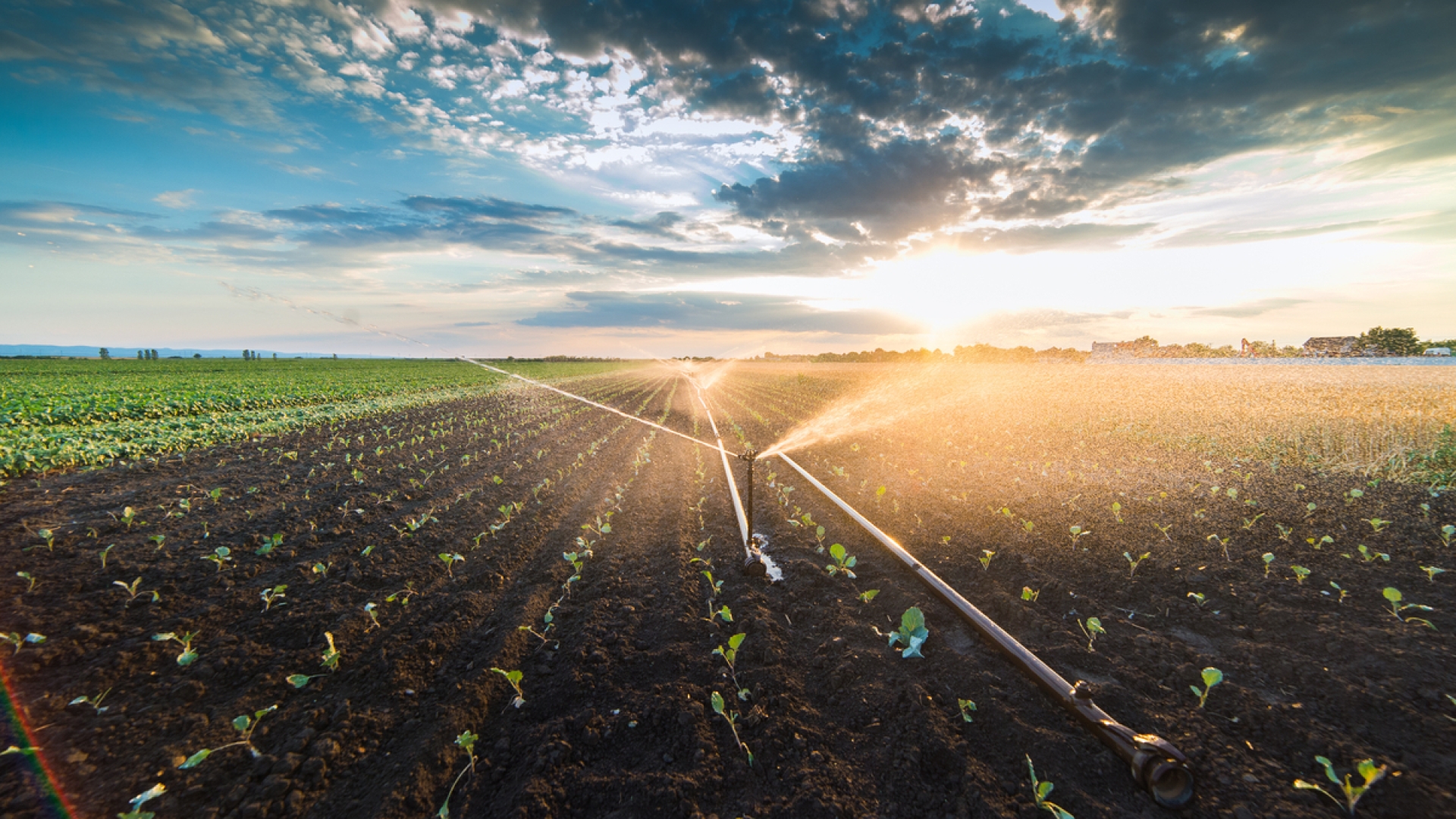 Adobestock_161154530-1201x799-3529250